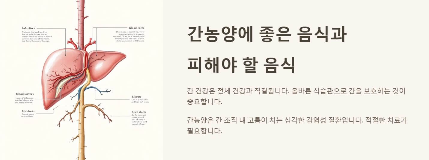 간농양에 좋은 음식