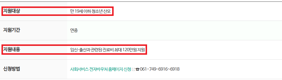 청소년 산모 임신 / 출산 의료비 지원