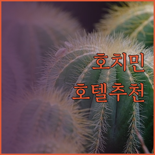 #호치민 #호텔추천 #여행팁