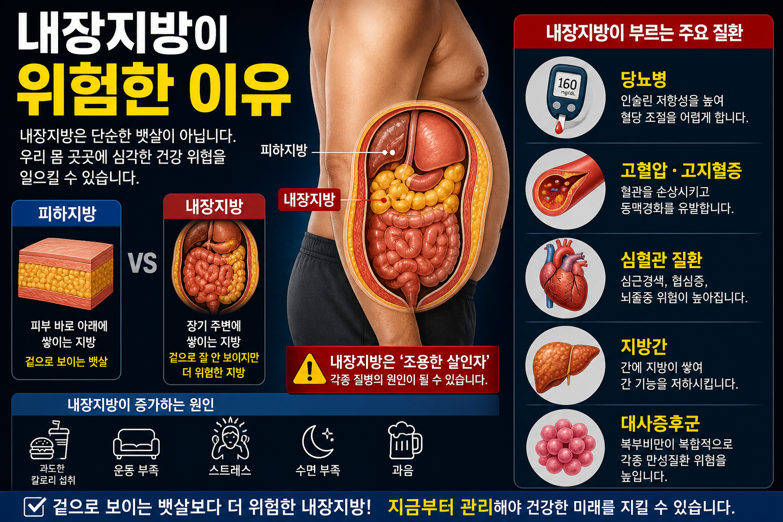내장지방이 위험한 이유