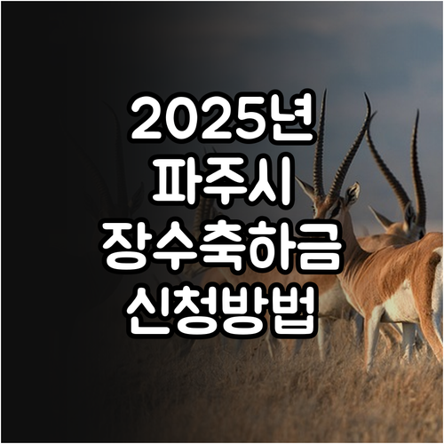 2025년 파주시 장수노인장려금 받는..