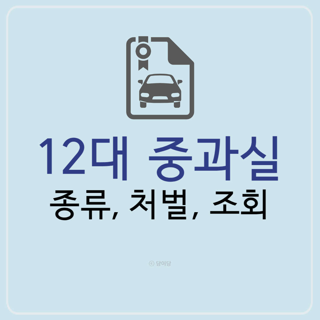 12대 중과실 종류 처벌 조회방법