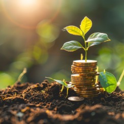 신한지주 055550 배당 배당금 배당일 실적 요약 2