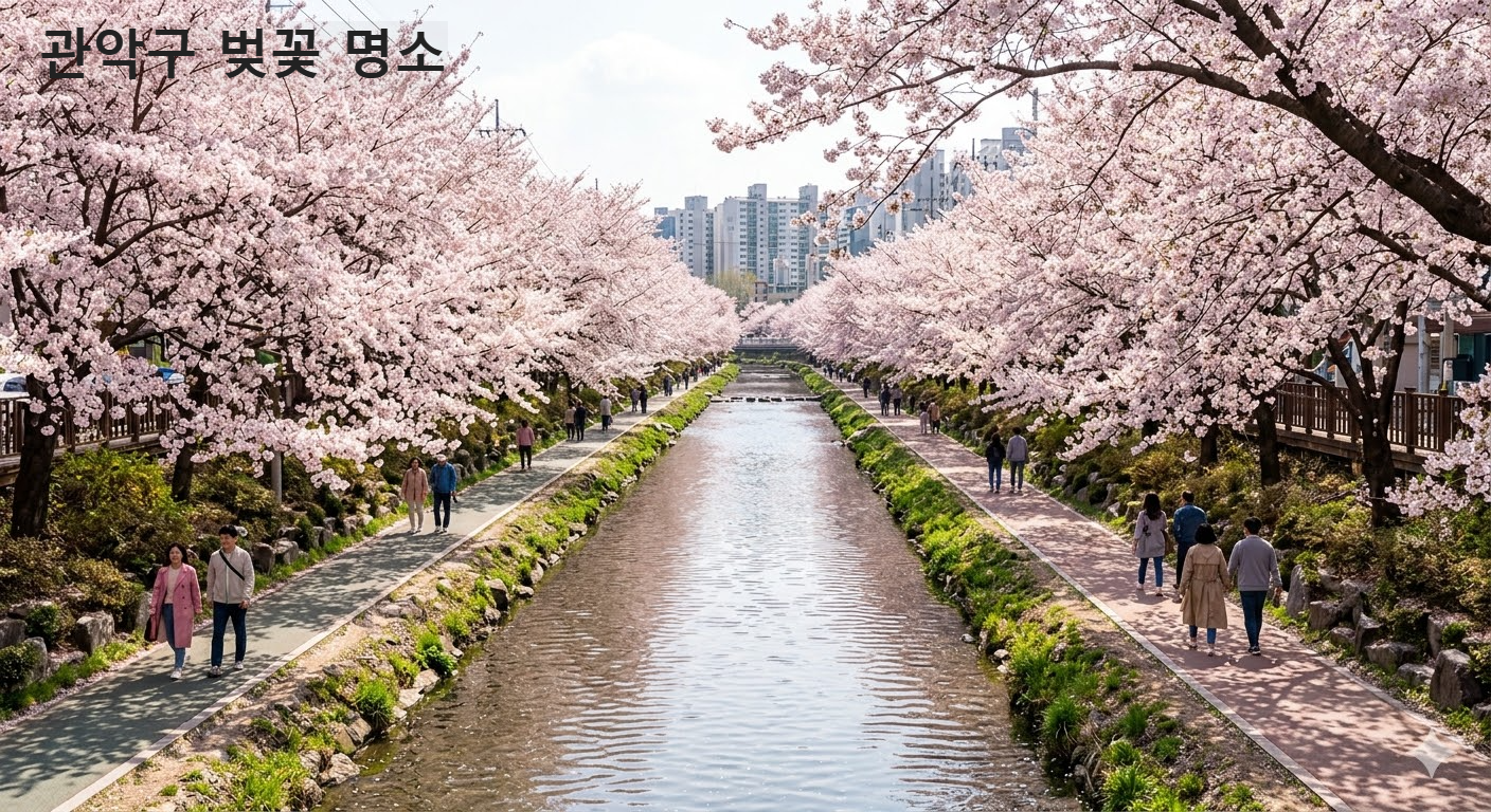 관악구 벚꽃 명소