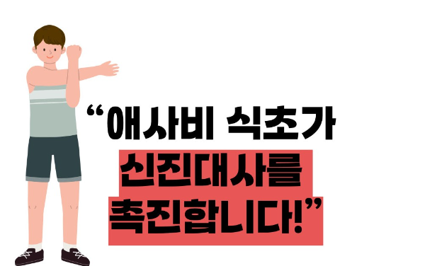 애사비 식초 효능