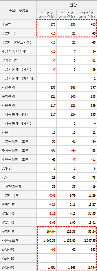 레뷰코퍼레이션 재무제표