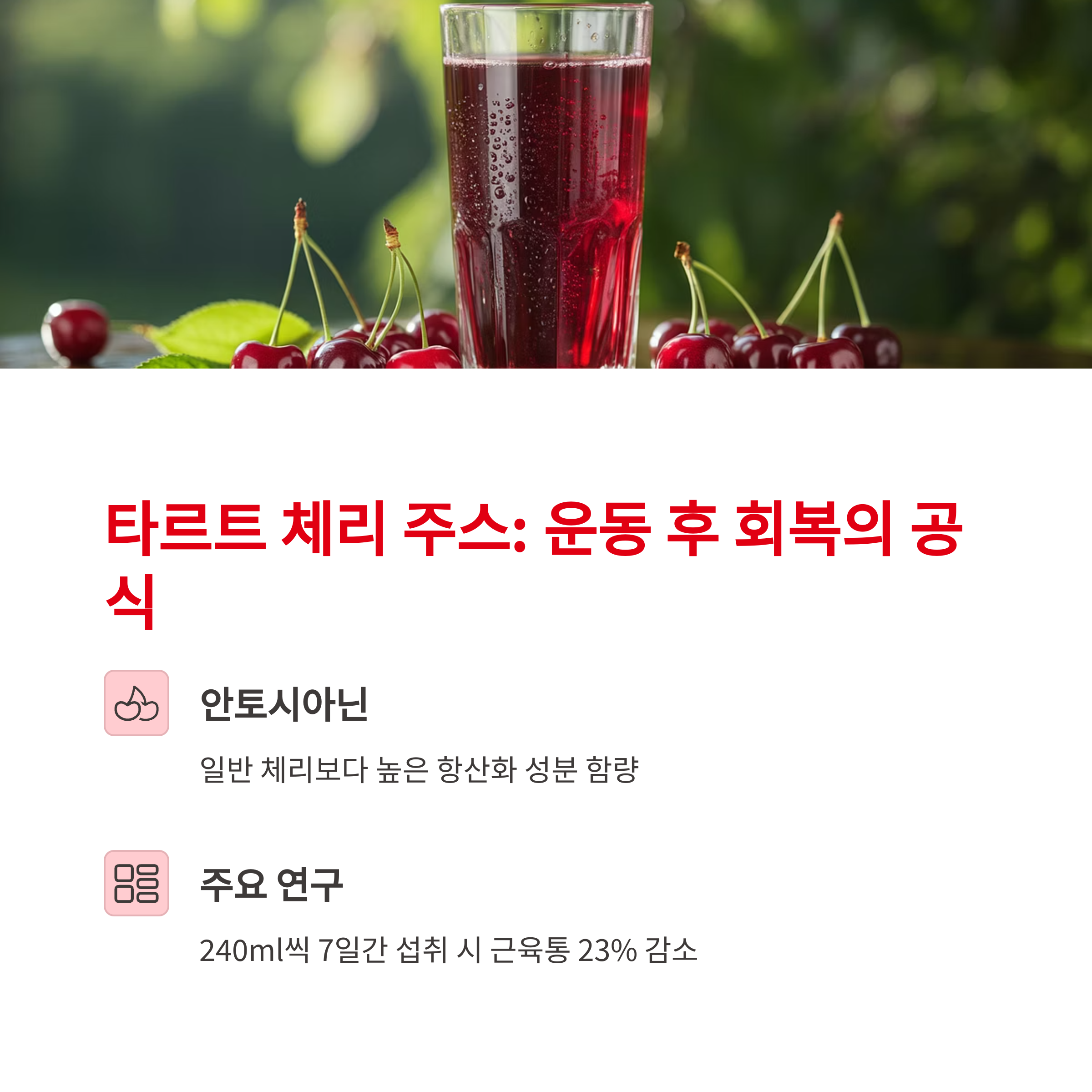 타르트 체리 주스: 운동 후 회복의 공식