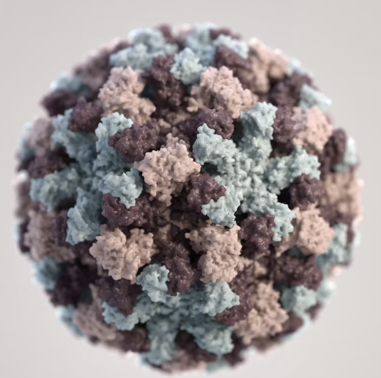 세스코 가정집 비용