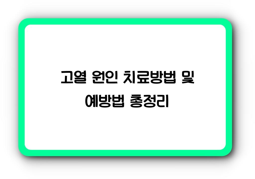고열 원인 치료방법