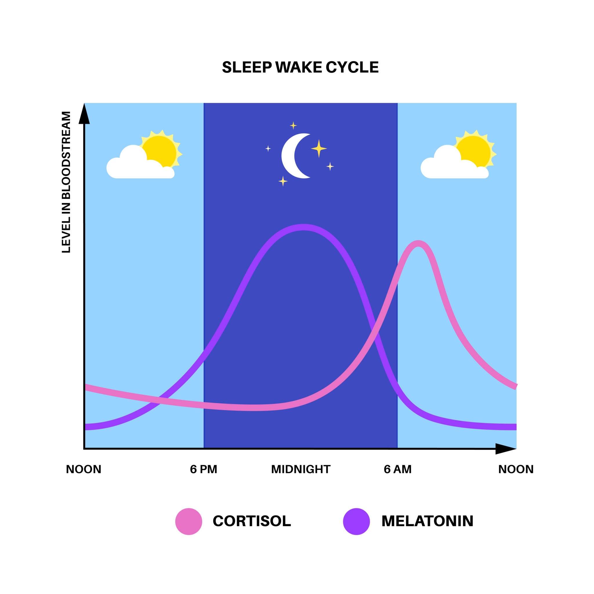 SLEEP WAKE CYCLE
