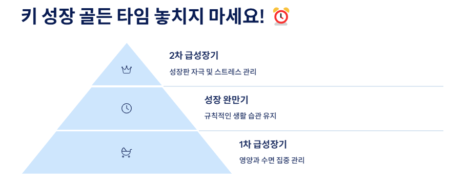 키크는 방법과 시기, 음식, 운동, 생활습관 완벽 가이드