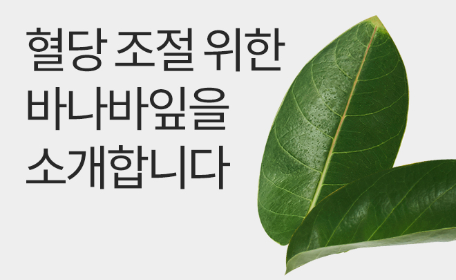 바나바잎 이미지