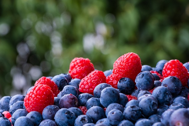 블루베리 효능 부작용 1분 요약