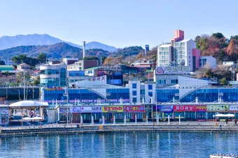 속초 대포항 맛집 추천 회센터 근처 인기 식당 리스트_5