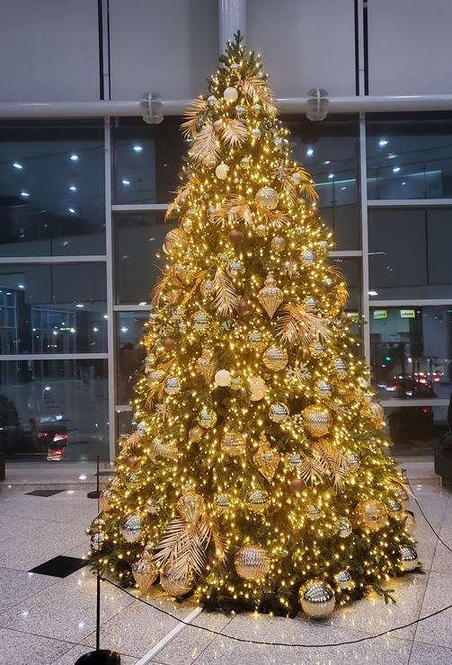 용인포은아트홀 트리