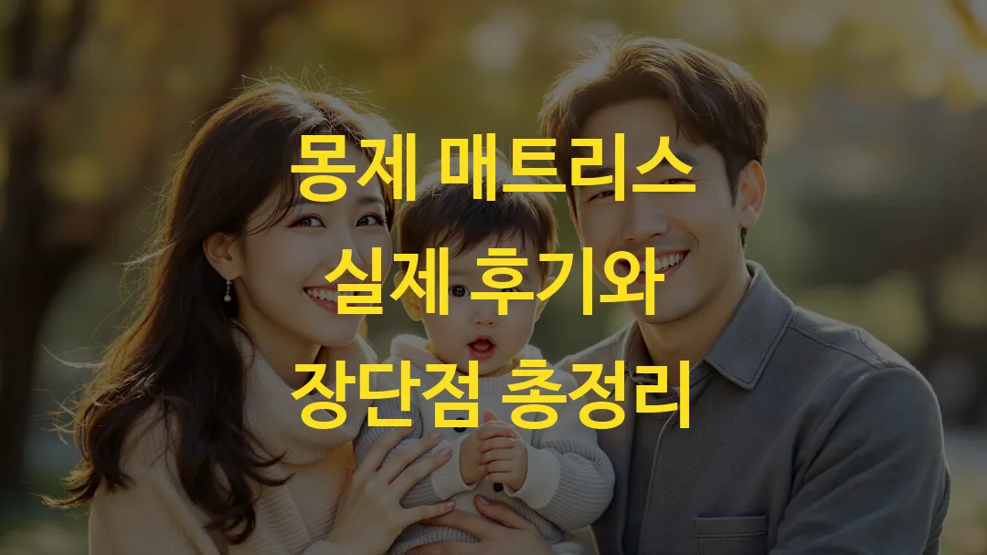 몽제 매트리스 실제 후기와 장단점 총정리