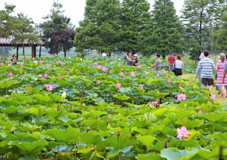 태안 청산수목원