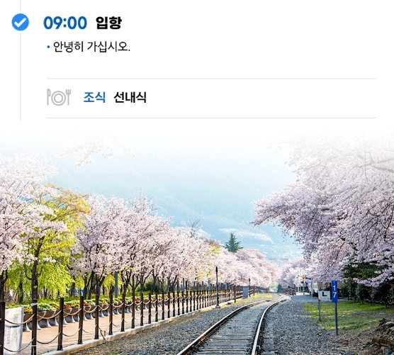 진해 군항제 원나잇크루즈