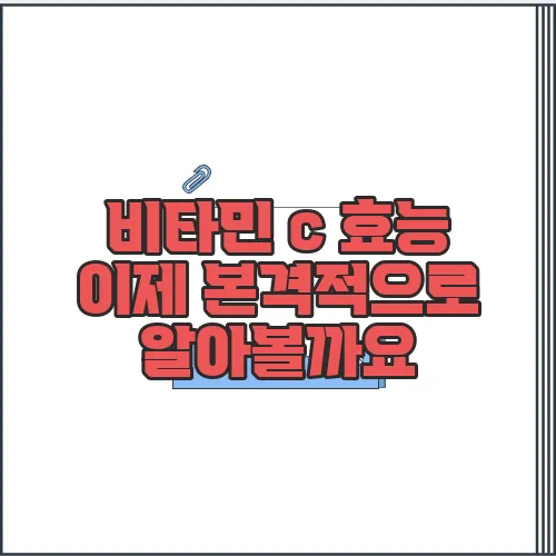 비타민 c 효능 이제 본격적으로 알아볼까요