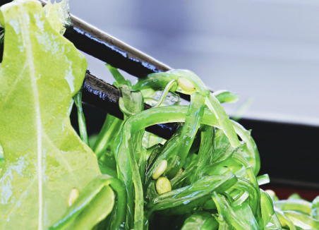 대장내시경 전 음식주의사항 9