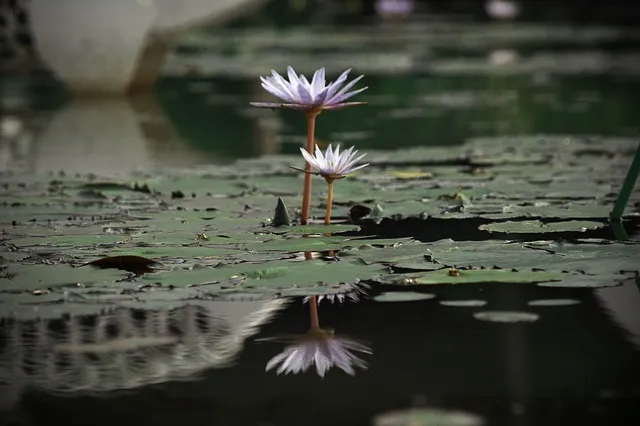 시흥 가볼만한곳 베스트10 여행 코스 맛집_9