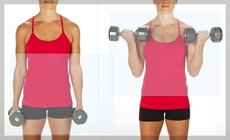 상완근 운동 덤벨 컬