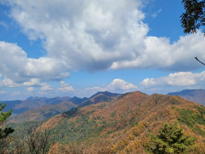 마적산 단풍