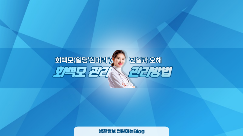 회백모를 부리면 어떻게 될까?