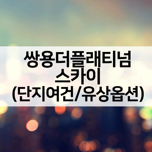 쌍용더플래티넘스카이1순위-1