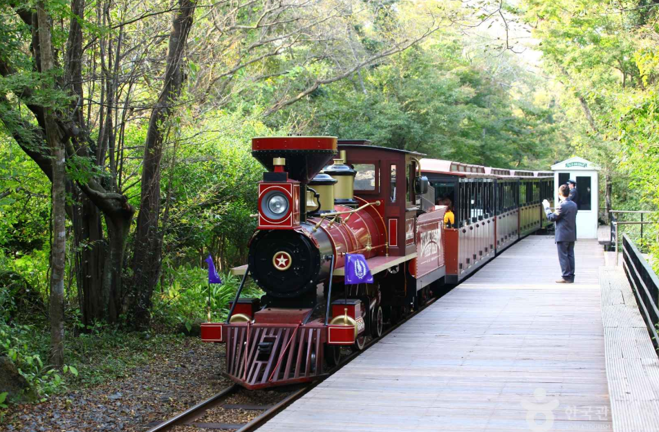 2월 제주도 여행지 추천 에코랜드 테마파크