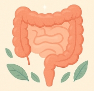 장염 빨리낫는법