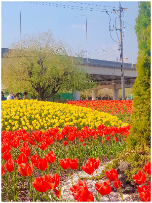 오륙도