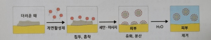 세정작용 과정 이미지