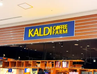 일본 칼디 카르디 KALDI 추천템 쇼핑리스트 스프레드 안닌도후_19