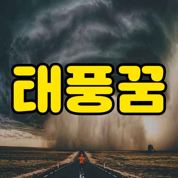 태풍꿈