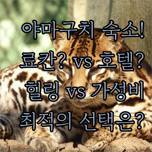 야마구치 여행 숙소 온천 료칸 힐링과..