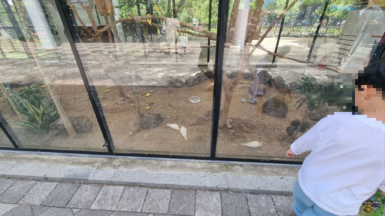 순천만국가정원 서문 동물원