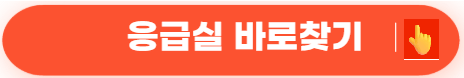 휴일병원약국 빠르게 찾는 방법