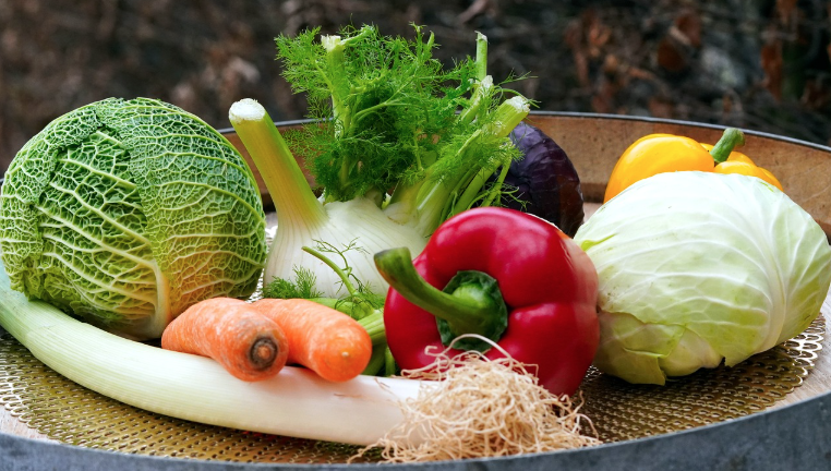 스마트 팜 운영 비용과 경제적 효과: 초기 투자부터 수익성까지