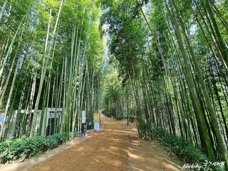 담양 죽녹원 소아르호텔 숙박 맛집_1