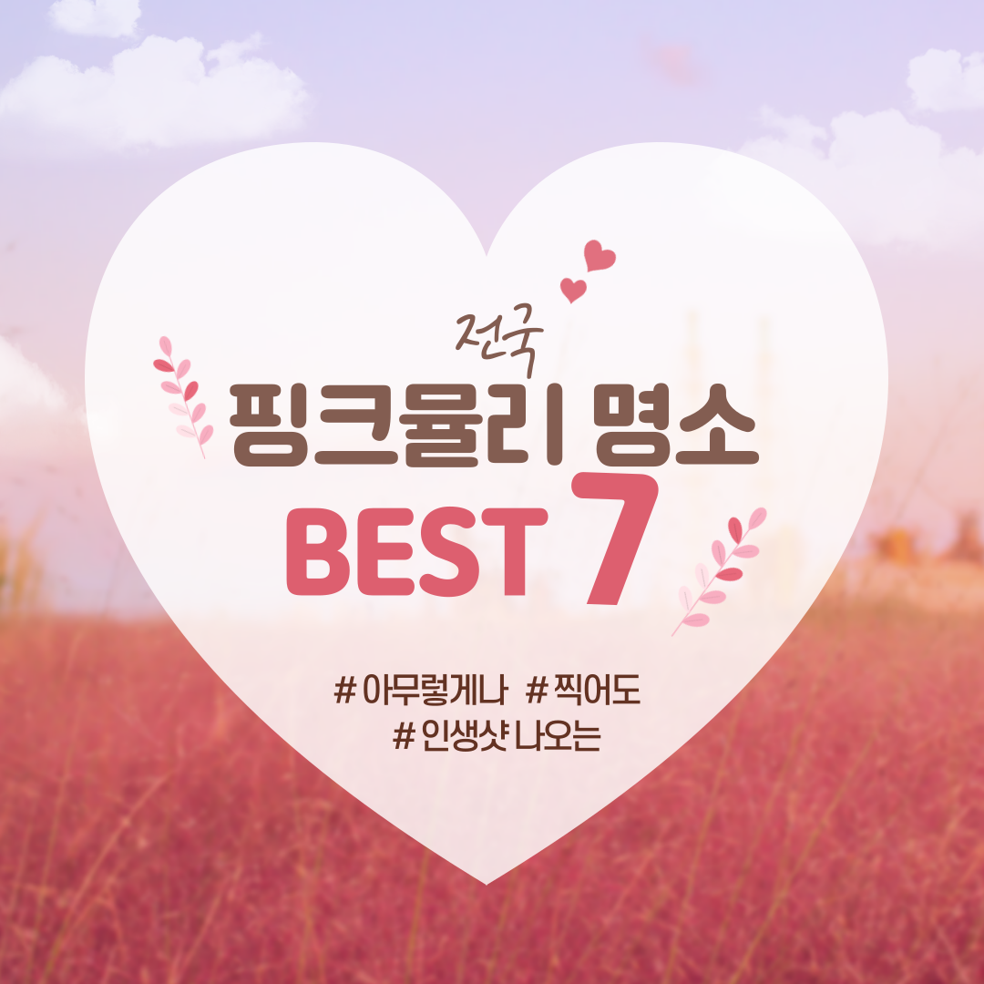 전국핑크뮬리명소