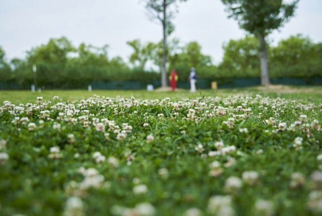 파크골프역사"/