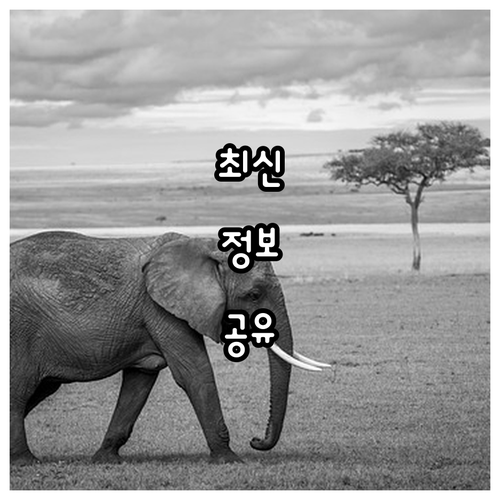 독도학교 2025년 신청 마감 전 독..