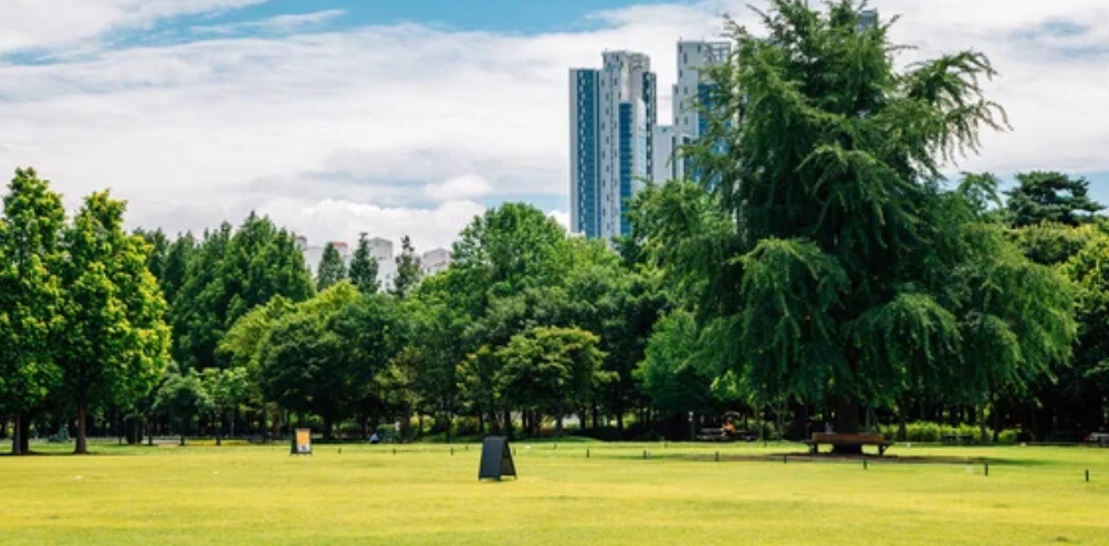 서울 파크골프장 TOP 7 / 입문자부터 시니어까지 추천 코스 총정리