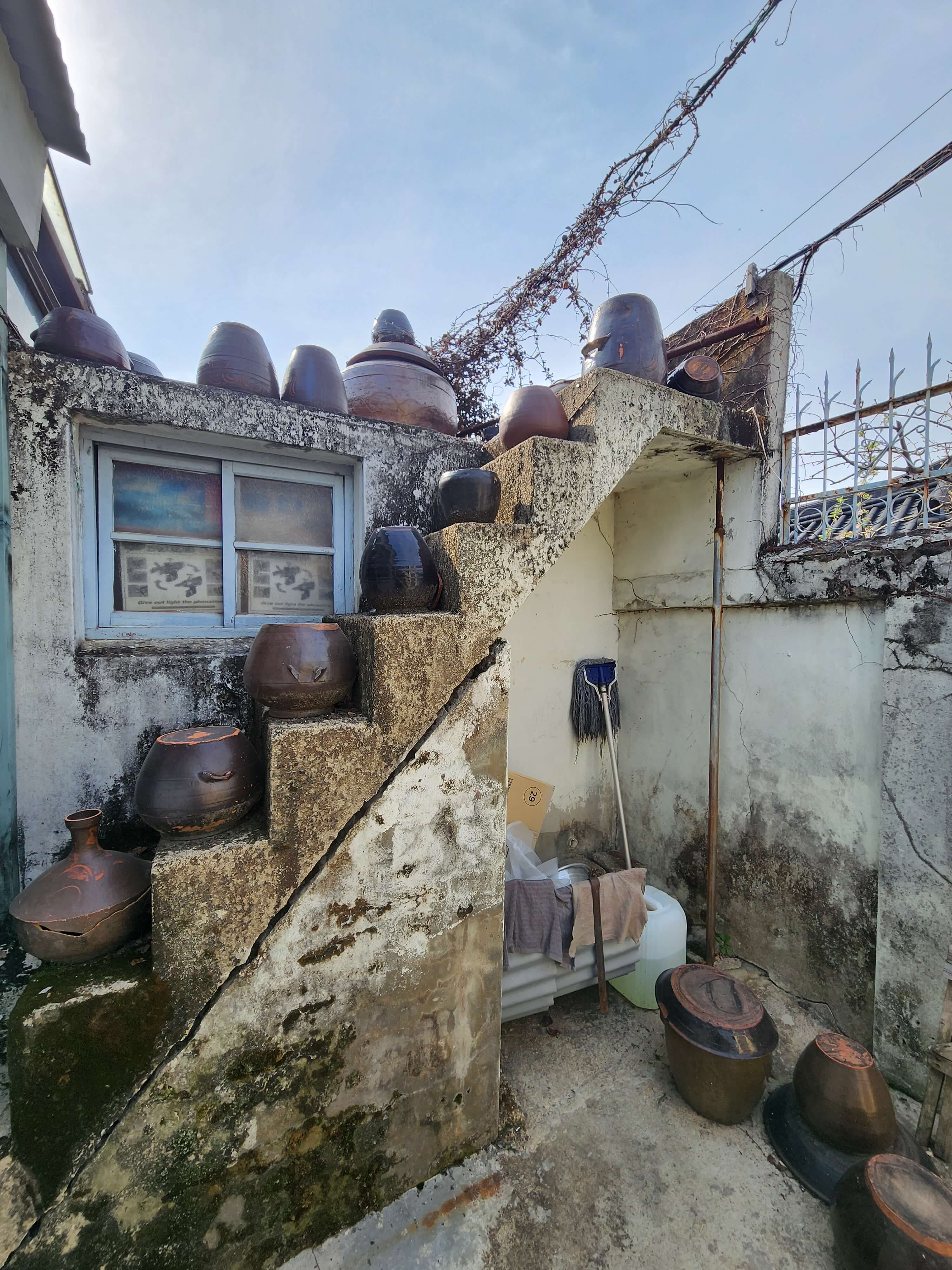 전주 애견동반 갈만한 곳 전주난장