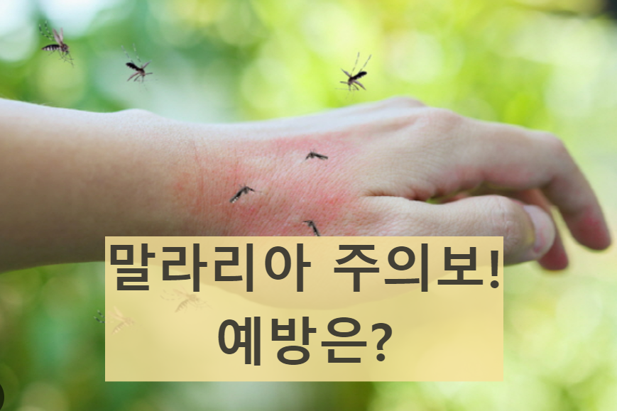 말라리아 증상 예방접종 되나?
