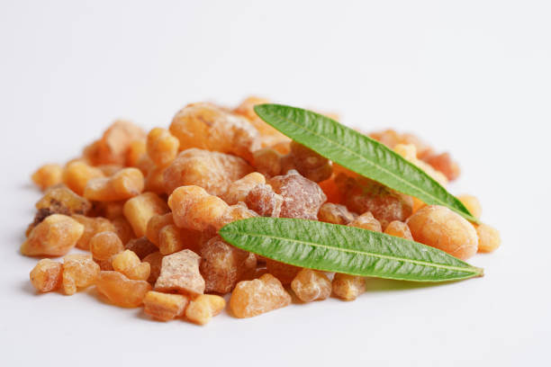 매스틱 효능, 위 건강을 지키는 나무가 있습니다. 이는 자일리톨 프로폴리스와 함께 세계 3대 항생물질 중 하나로 알려져 있으며 강력한 살균, 항염,항균 작용을 합니다. 또한 프로폴리스보다 16배나 높은 항염 및 살균 효과가 뛰어난 것으로 알려져 있습니다. 어떤 효능들이 있는지 알아봤습니다.