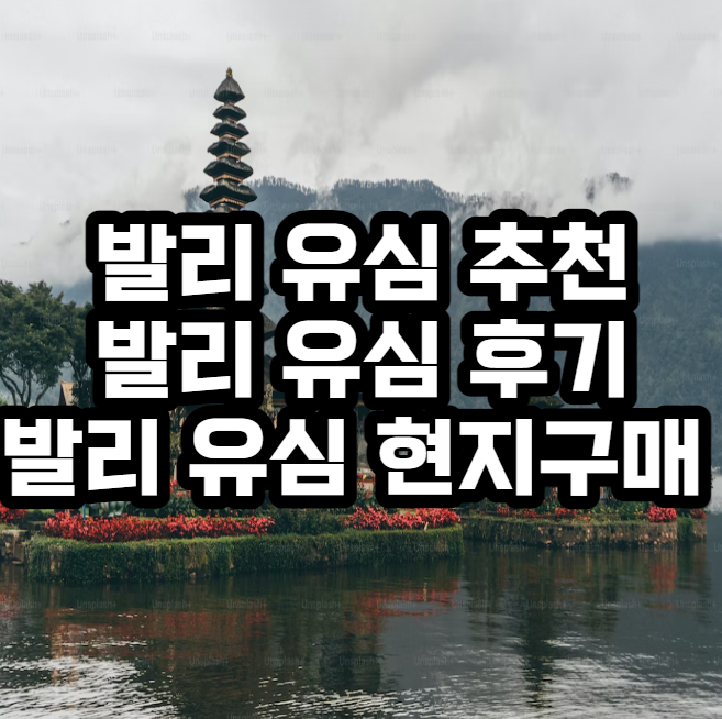 발리 유심 추천
