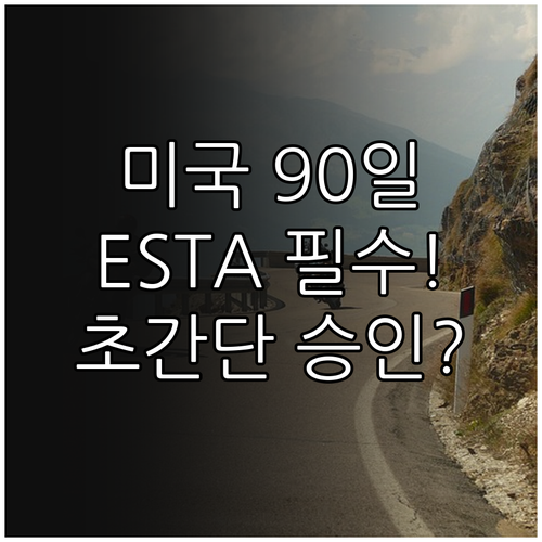 90일 이하 미국 방문 ESTA 비자..