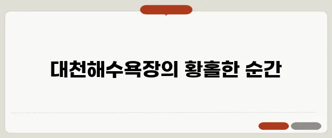 대천해수욕장에서 노을 감상하며 여가를 빛내다